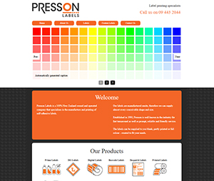 website example 5